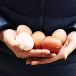 Domaine Labouroume