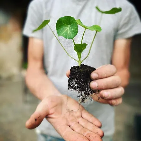 Domaine Labouroume Penzion