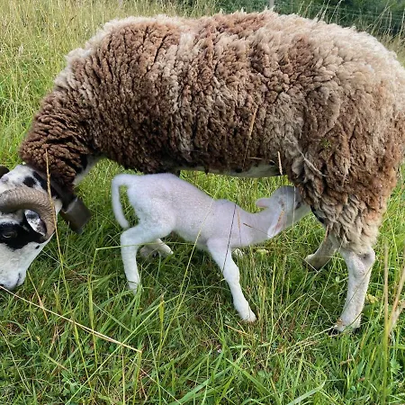 Guest house Domaine Labouroume